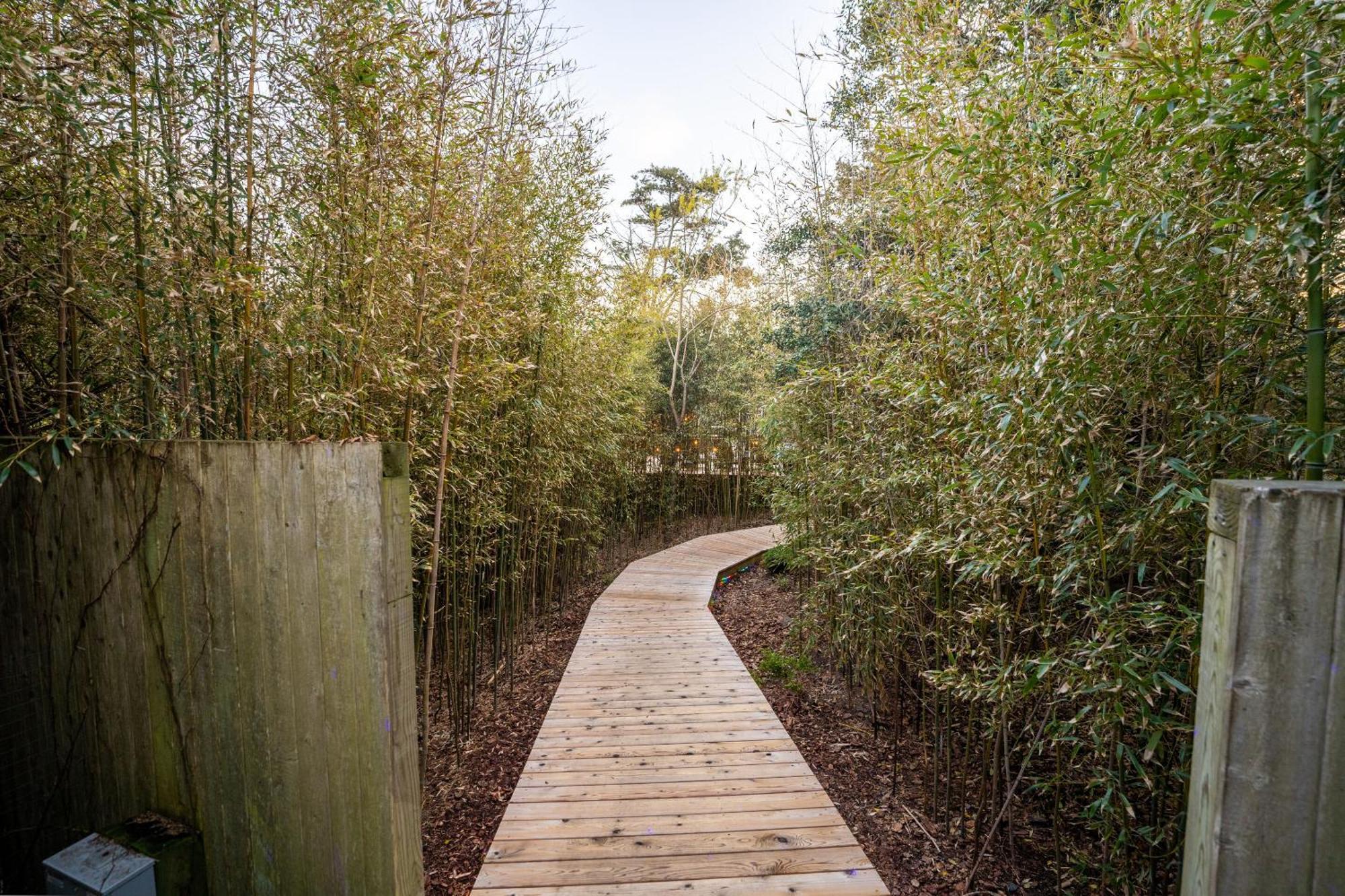 The Madison Fire Island Pines Hotell Exteriör bild